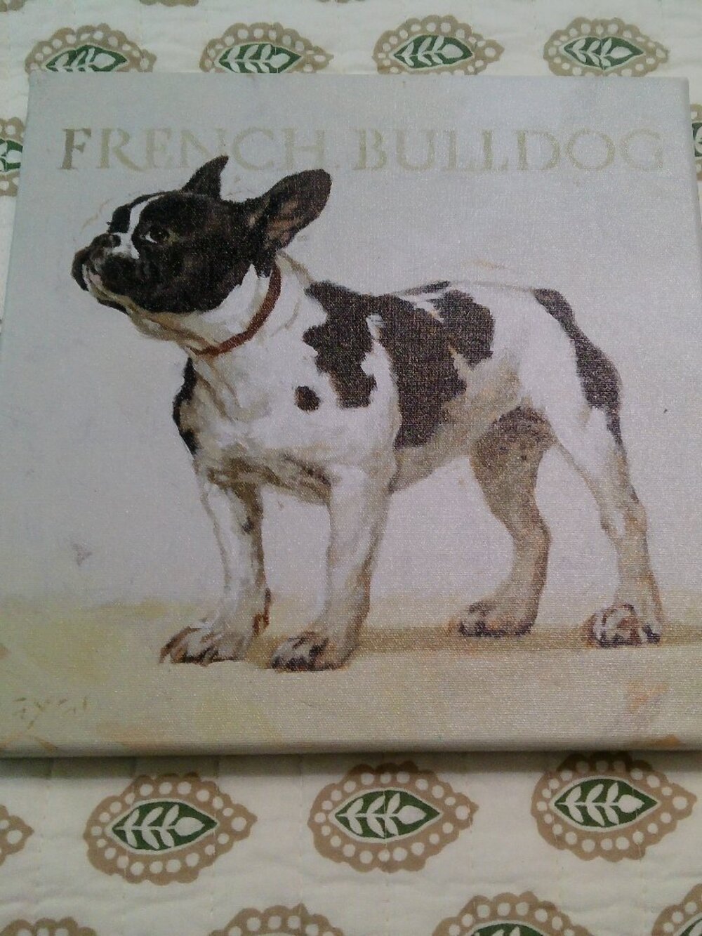Sullivans Darren Gygi French Bulldog